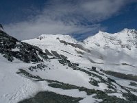 CH, Wallis, Saas Fee, Egginerjoch 12, Saxifraga-Willem van Kruijsbergen